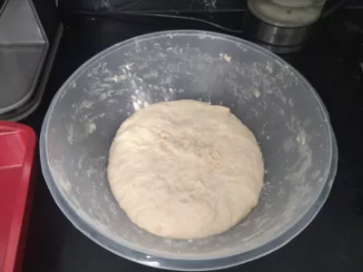 Fluffy Coco Bread Recipe - Vegan Tahitian Specialty : Coco bread dough ball that doubled in size