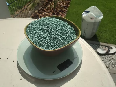 Lawn Fertilizer YaraMila Complex: How To Use It? : 1kg of YaraMila complex fertilizer in a bowl for hand application on 60sqm garden lawn