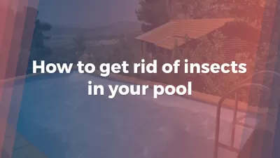 How to get rid of insects in your pool